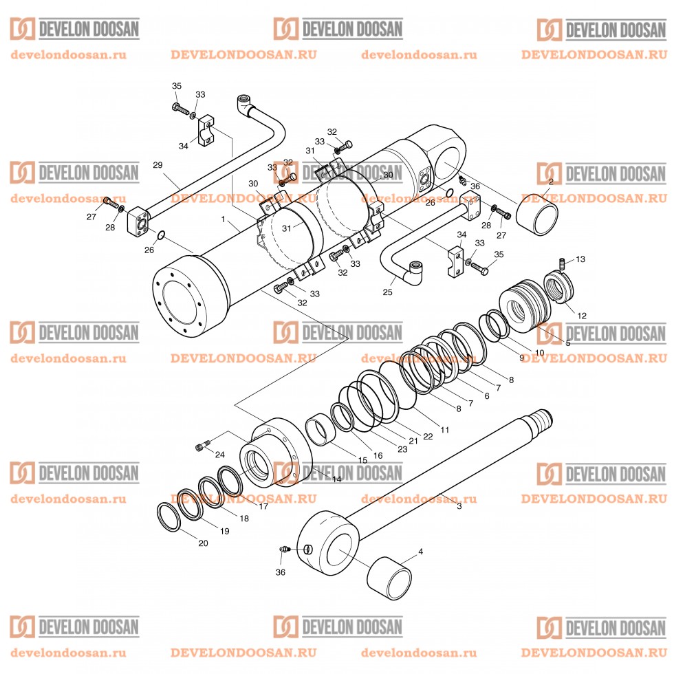 4290 BUCKET CYLINDER-6.2m ARM
