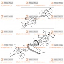 013 WATER PUMP & COOLING FAN