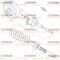 2130 TRACK SPRING  [ 5001~13608 ]