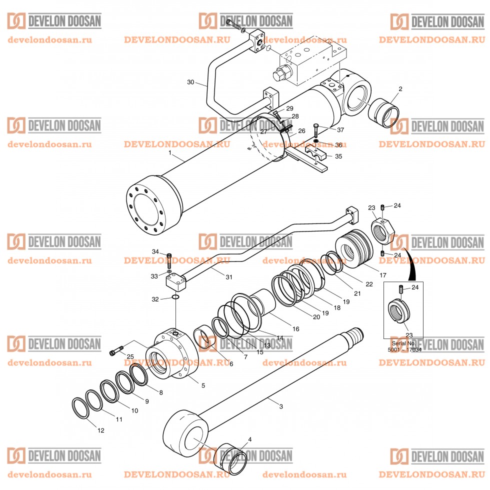 4310 BOOM CYLINDER - L.H (LOCK VALVE) [5001~18443]