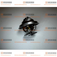 65.06402-0006 Термостат