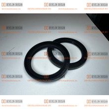 DS5501045 Уплотнение 