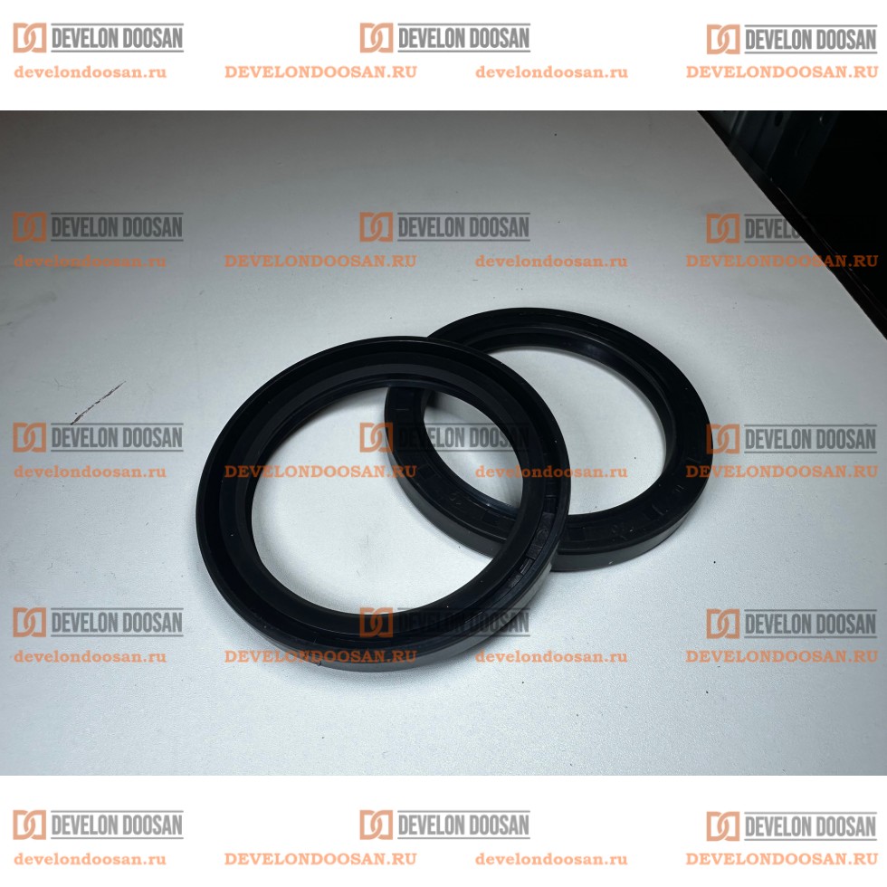 DS5501045 Уплотнение 