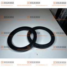 DS5501046 Уплотнение