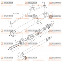 4281 BOOM CYLINDER - R.H(DX225LCA-7M) [3273~] [20007~]