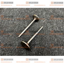 65.04101-0041 Клапан впускной