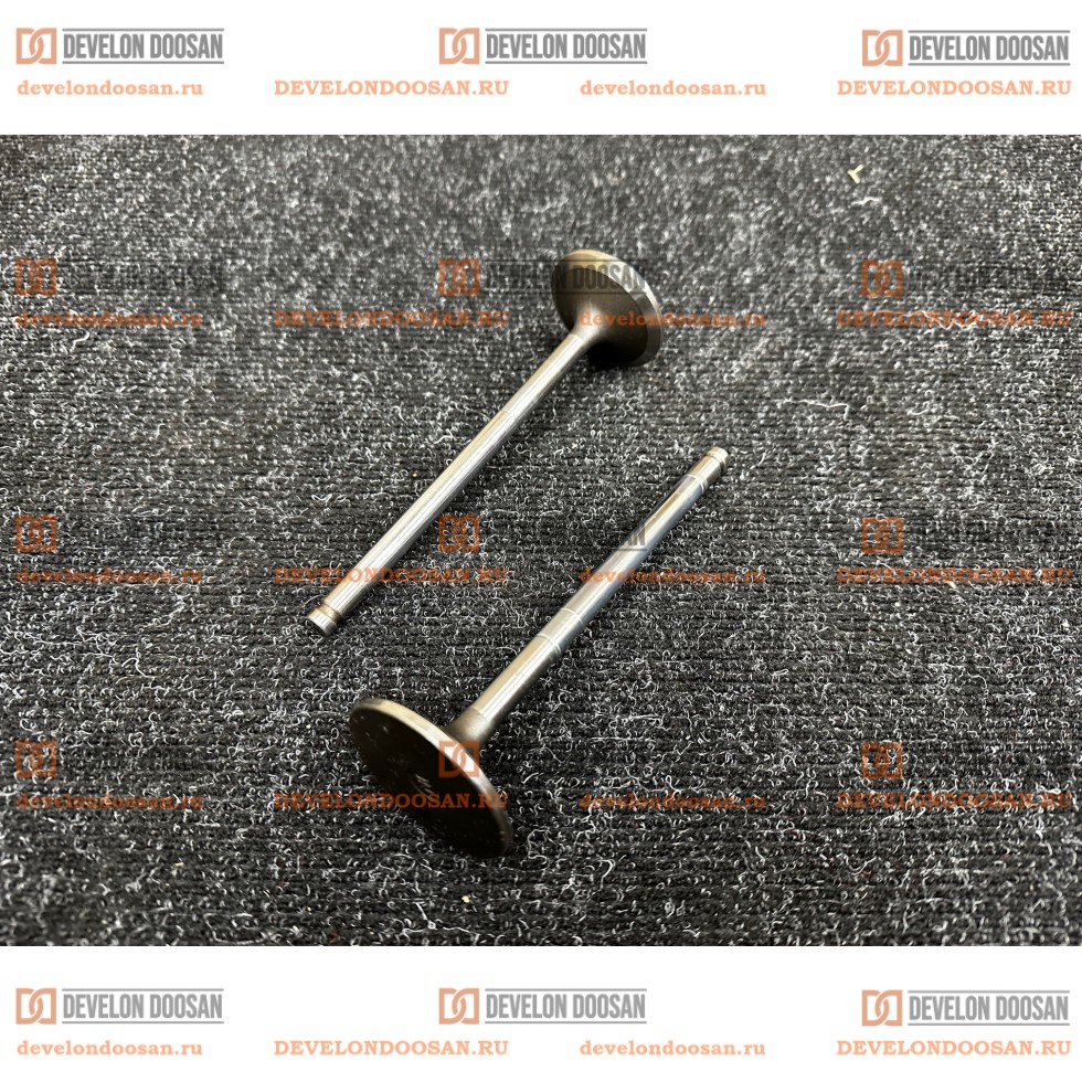 65.04101-0041 Клапан впускной