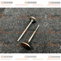 65.04101-0042 Клапан выпускной