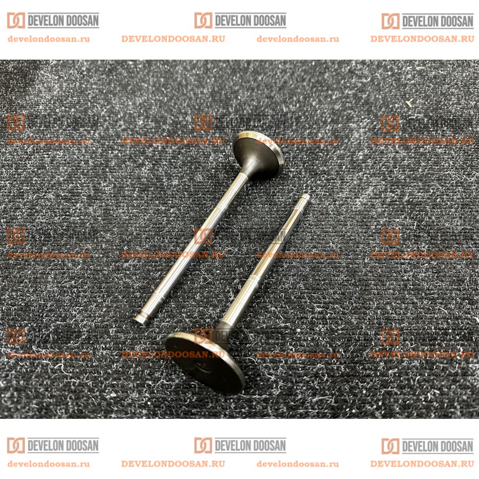 65.04101-0042 Клапан выпускной